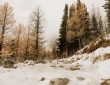Epic Winter Adventures Beyond Skiing for Every Explorer 2025