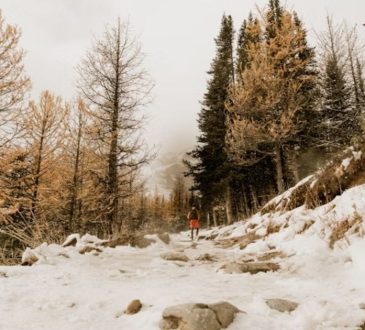 Epic Winter Adventures Beyond Skiing for Every Explorer 2025