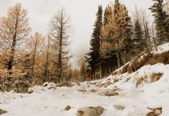 Epic Winter Adventures Beyond Skiing for Every Explorer 2025