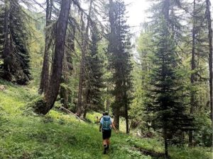 Top 9 Best Hiking Trails 2025: Epic Adventures Await
